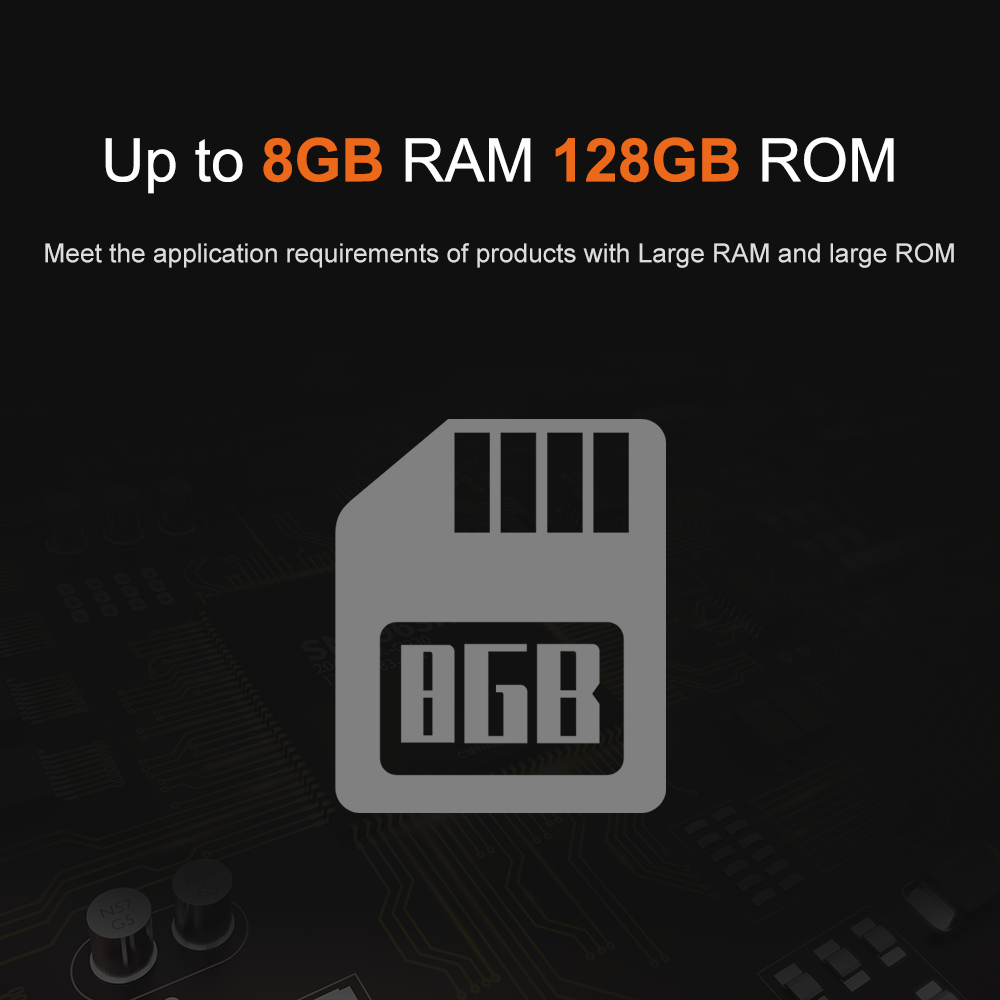 Liontron RK3566 DDR4 8GB RAM A - Open Vending Machine recensie en prijs